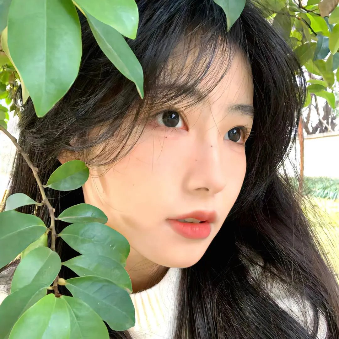 校友春心